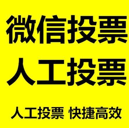 龙岩市投票活动拉票能被查出来吗？如何操作能不被发现？
